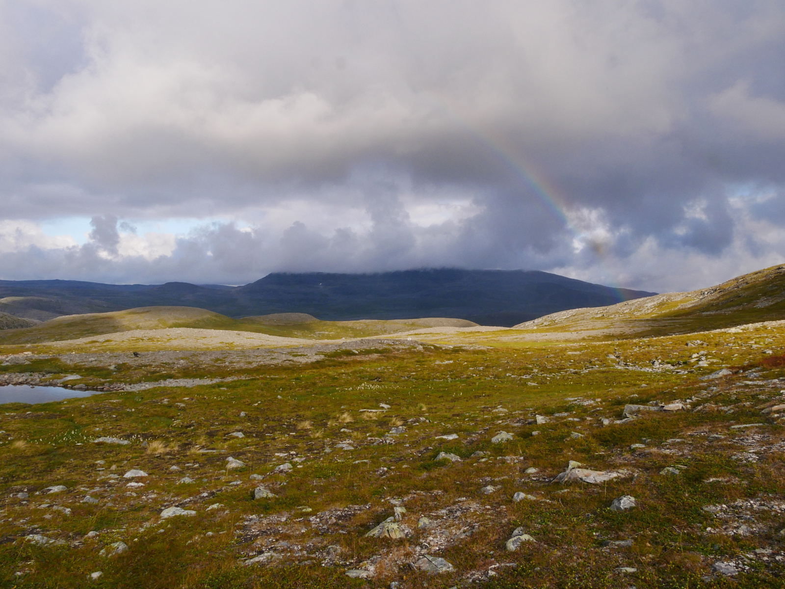 Klicke auf die Grafik für eine vergrößerte Ansicht

Name: P1150391.jpg
Ansichten: 140
Größe: 811,5 KB
ID: 3364159