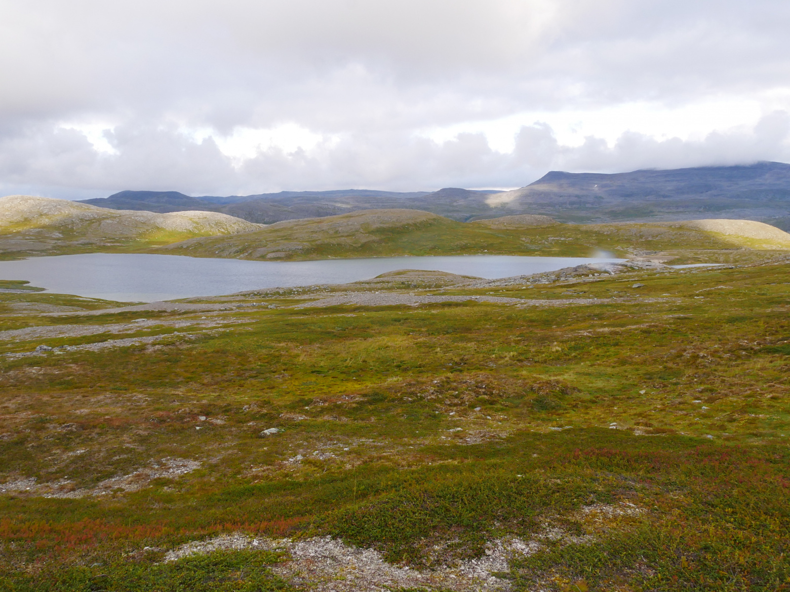 Klicke auf die Grafik für eine vergrößerte Ansicht

Name: P1150392.jpg
Ansichten: 139
Größe: 867,4 KB
ID: 3364160