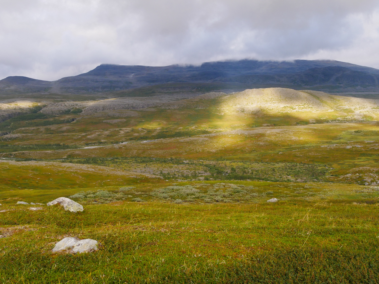 Klicke auf die Grafik für eine vergrößerte Ansicht

Name: P1150395.jpg
Ansichten: 139
Größe: 1,05 MB
ID: 3364161