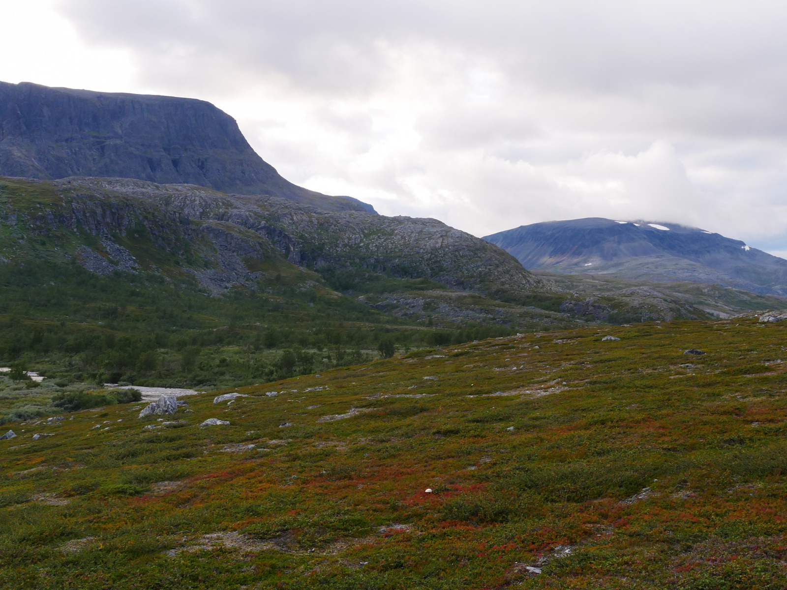 Klicke auf die Grafik für eine vergrößerte Ansicht

Name: P1150396.jpg
Ansichten: 140
Größe: 839,5 KB
ID: 3364162