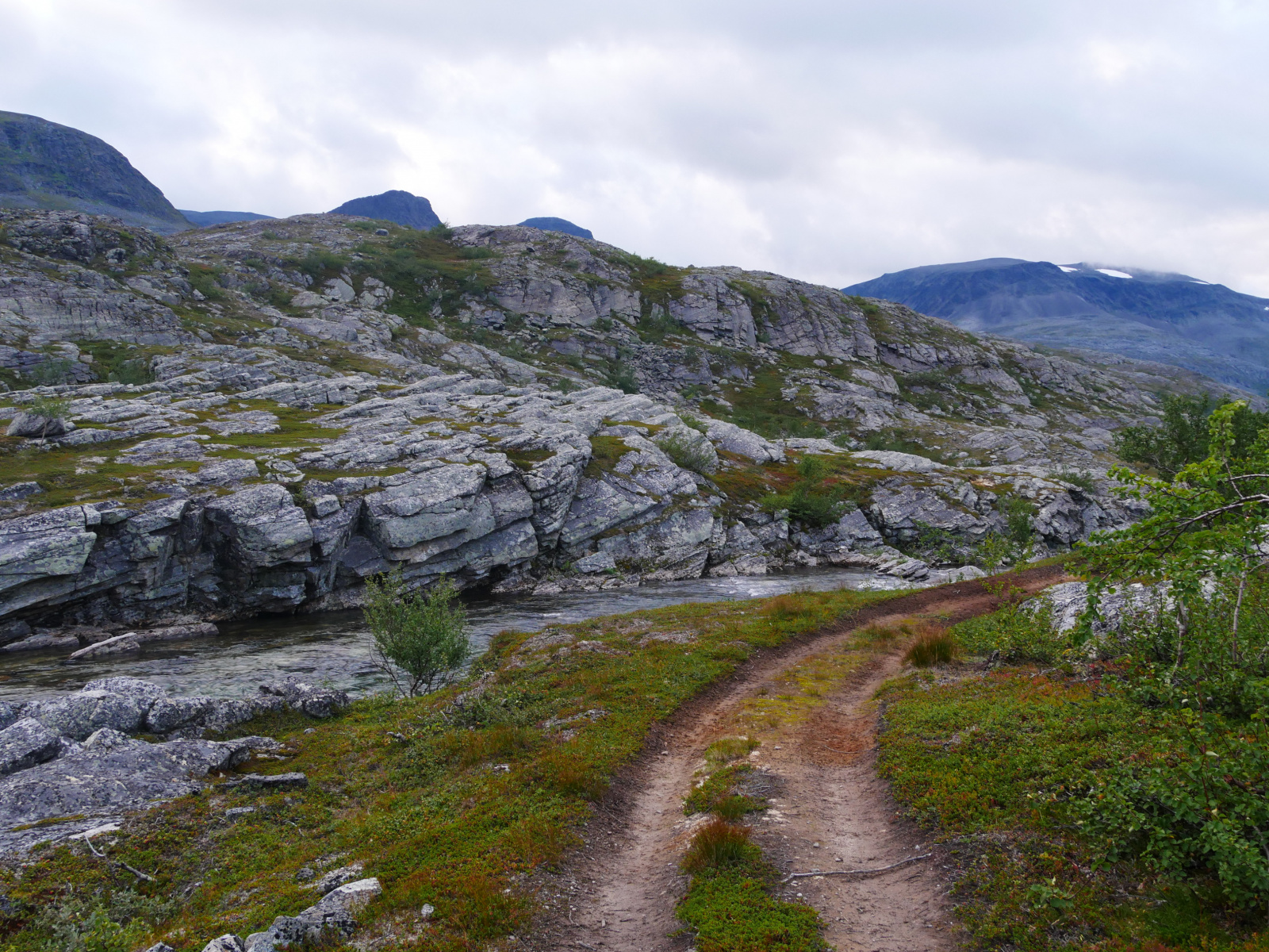 Klicke auf die Grafik für eine vergrößerte Ansicht

Name: P1150398.jpg
Ansichten: 140
Größe: 1,10 MB
ID: 3364163