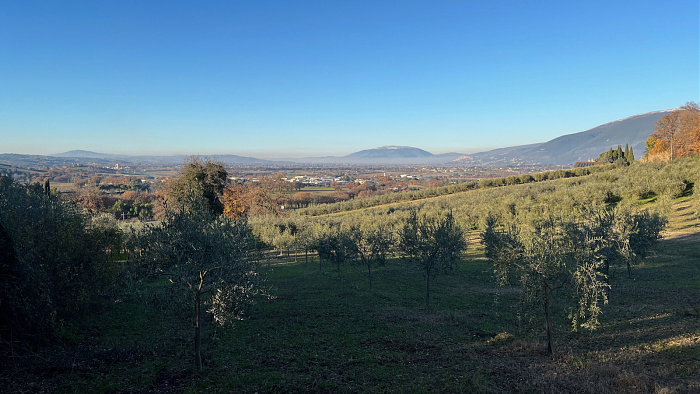 Klicke auf die Grafik für eine vergrößerte Ansicht  Name: IMG_7856.jpg Ansichten: 0 Größe: 639,8 KB ID: 3364319