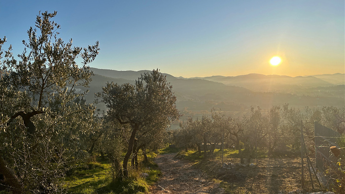 Klicke auf die Grafik für eine vergrößerte Ansicht  Name: IMG_7860.jpg Ansichten: 0 Größe: 680,6 KB ID: 3364320