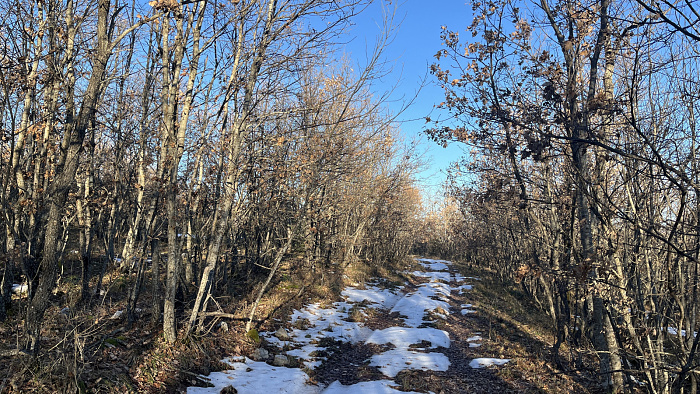 Klicke auf die Grafik für eine vergrößerte Ansicht

Name: IMG_7883.jpg
Ansichten: 293
Größe: 1,32 MB
ID: 3364332