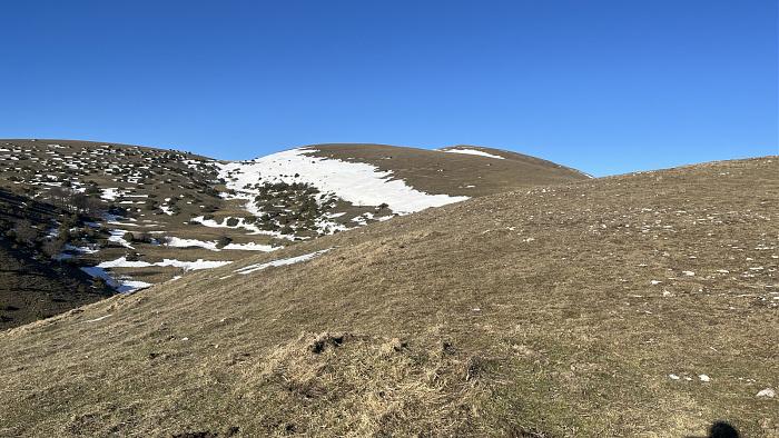 Klicke auf die Grafik für eine vergrößerte Ansicht

Name: IMG_7917.jpg
Ansichten: 293
Größe: 791,0 KB
ID: 3364340