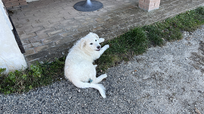 Klicke auf die Grafik für eine vergrößerte Ansicht  Name: IMG_7998.jpg Ansichten: 0 Größe: 1,10 MB ID: 3364379