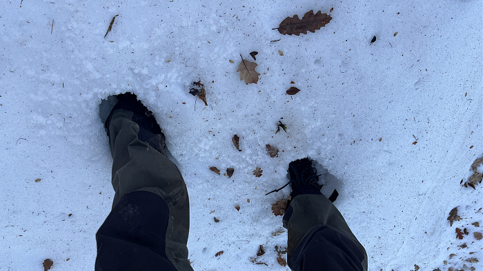 Klicke auf die Grafik für eine vergrößerte Ansicht  Name: IMG_8065.jpg Ansichten: 0 Größe: 674,5 KB ID: 3364395