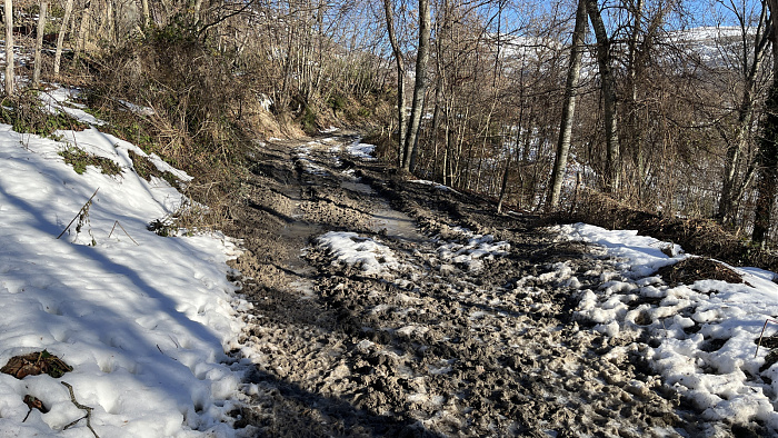 Klicke auf die Grafik für eine vergrößerte Ansicht  Name: IMG_8108.jpg Ansichten: 0 Größe: 1,12 MB ID: 3364486