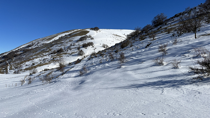 Klicke auf die Grafik für eine vergrößerte Ansicht  Name: IMG_8126.jpg Ansichten: 0 Größe: 739,0 KB ID: 3364491