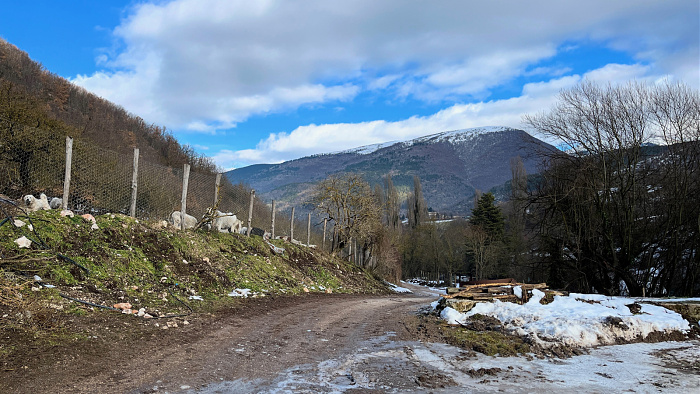 Klicke auf die Grafik für eine vergrößerte Ansicht

Name: IMG_8182.jpg
Ansichten: 184
Größe: 810,5 KB
ID: 3364526