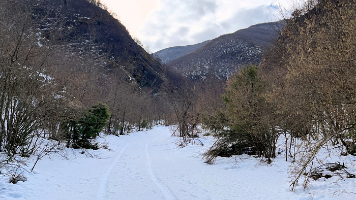 Klicke auf die Grafik für eine vergrößerte Ansicht

Name: IMG_8184.jpg
Ansichten: 184
Größe: 850,8 KB
ID: 3364528