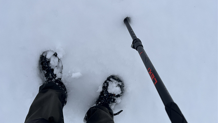 Klicke auf die Grafik für eine vergrößerte Ansicht

Name: IMG_8195.jpg
Ansichten: 181
Größe: 282,6 KB
ID: 3364530