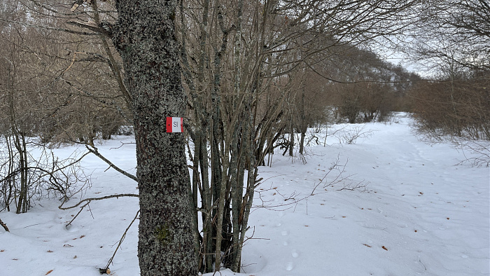 Klicke auf die Grafik für eine vergrößerte Ansicht

Name: IMG_8189.jpg
Ansichten: 183
Größe: 842,2 KB
ID: 3364531