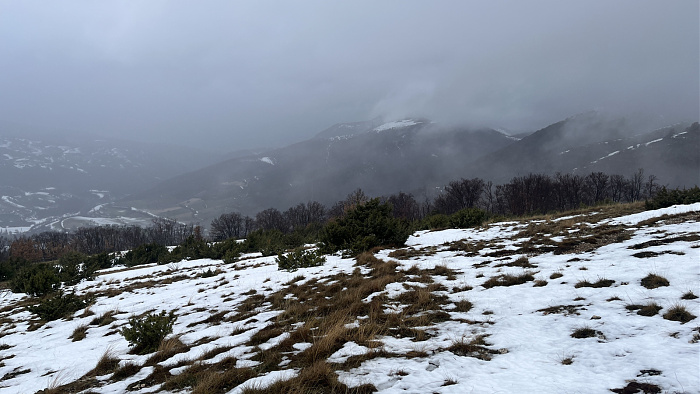 Klicke auf die Grafik für eine vergrößerte Ansicht

Name: IMG_8250.jpg
Ansichten: 172
Größe: 546,9 KB
ID: 3364567