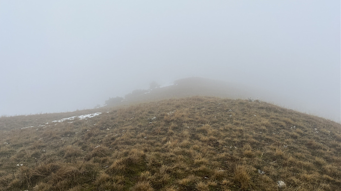 Klicke auf die Grafik für eine vergrößerte Ansicht

Name: IMG_8253.jpg
Ansichten: 173
Größe: 434,7 KB
ID: 3364569