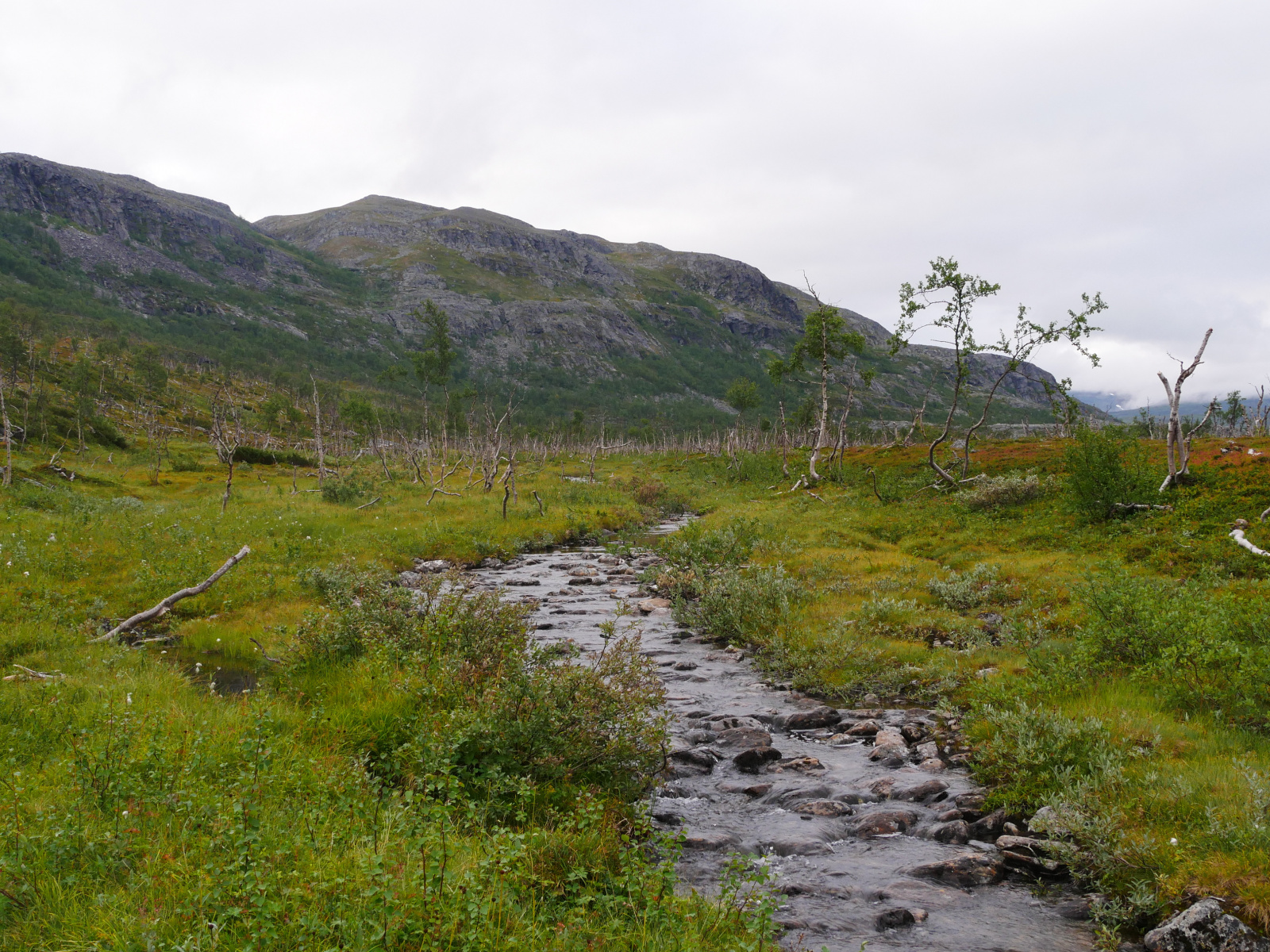 Klicke auf die Grafik für eine vergrößerte Ansicht

Name: P1150399.jpg
Ansichten: 70
Größe: 1,06 MB
ID: 3364643