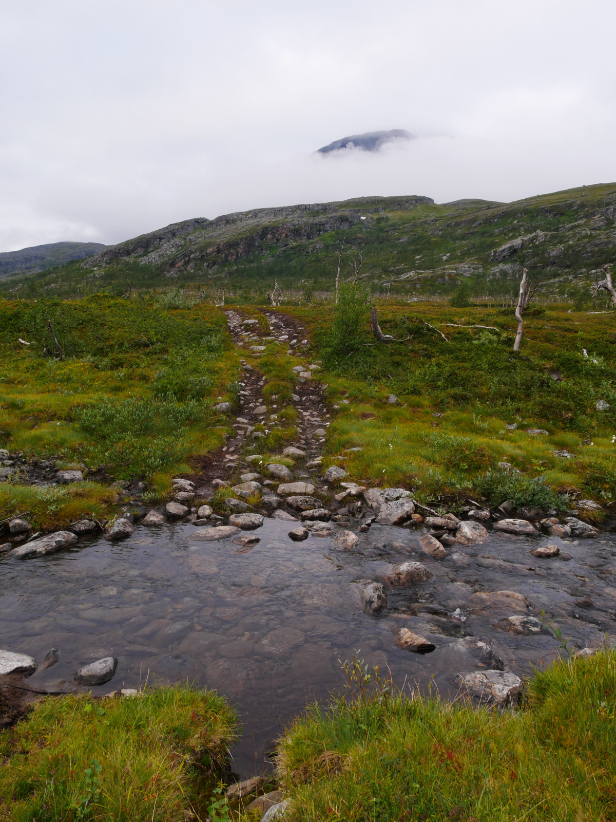 Klicke auf die Grafik für eine vergrößerte Ansicht

Name: P1150400.jpg
Ansichten: 67
Größe: 1.002,4 KB
ID: 3364644