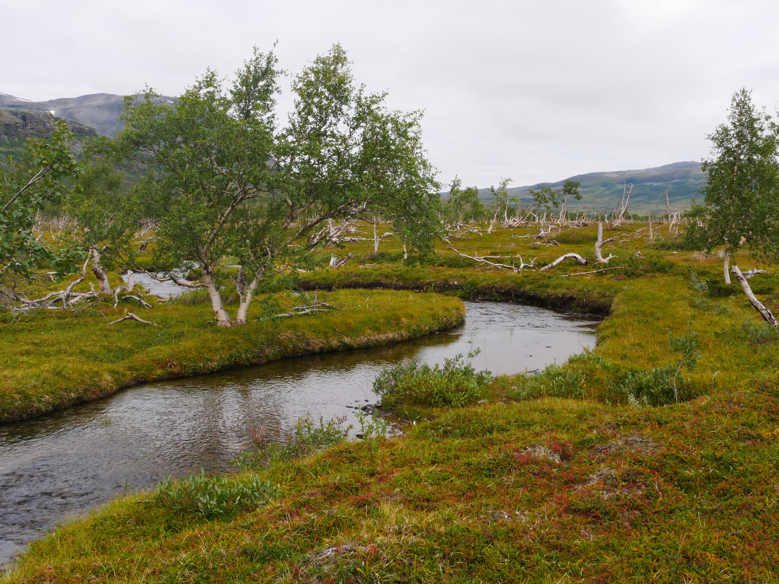 Klicke auf die Grafik für eine vergrößerte Ansicht

Name: P1150403.jpg
Ansichten: 68
Größe: 1,28 MB
ID: 3364646