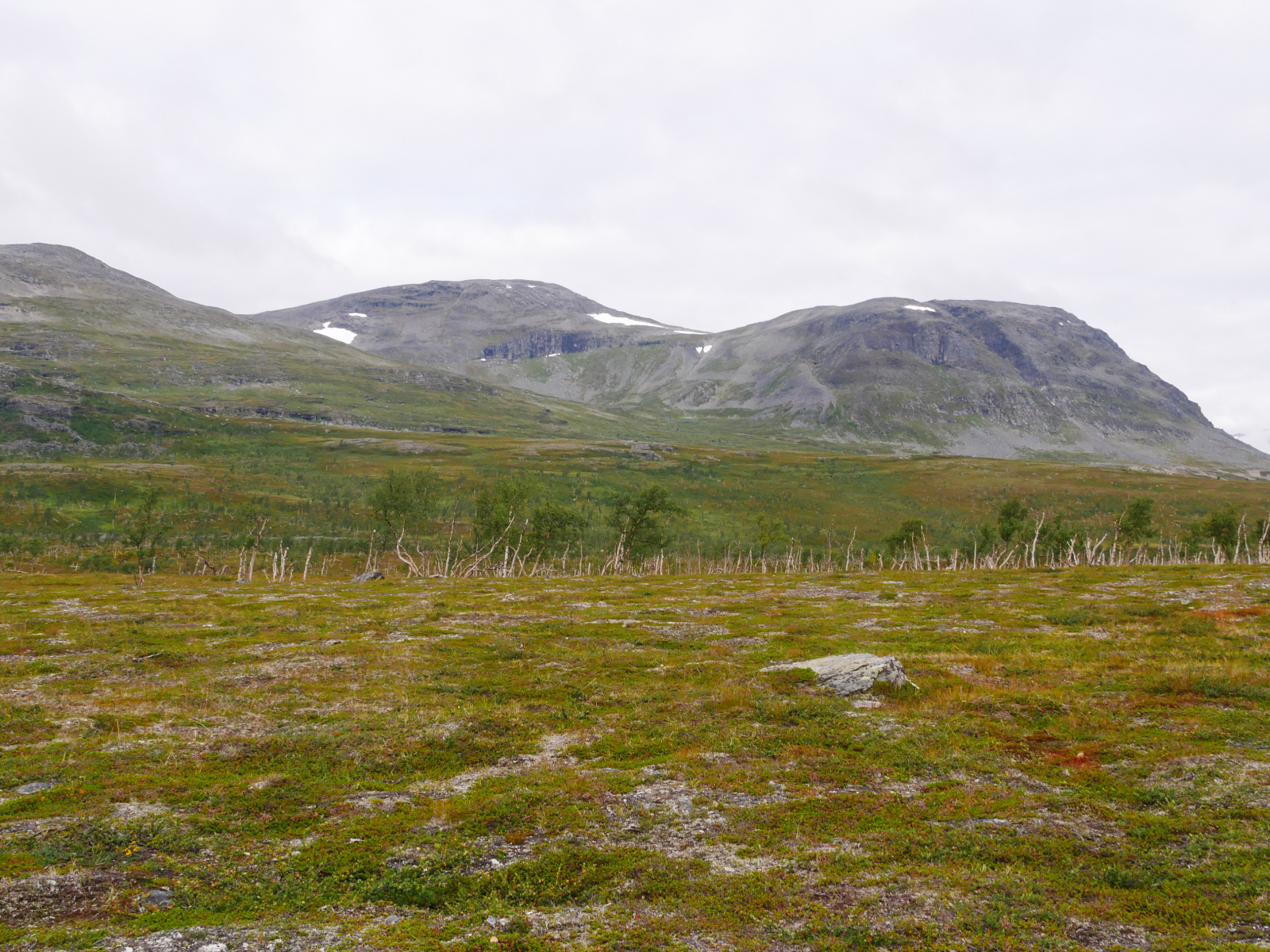 Klicke auf die Grafik für eine vergrößerte Ansicht

Name: P1150405.jpg
Ansichten: 66
Größe: 1.014,7 KB
ID: 3364647