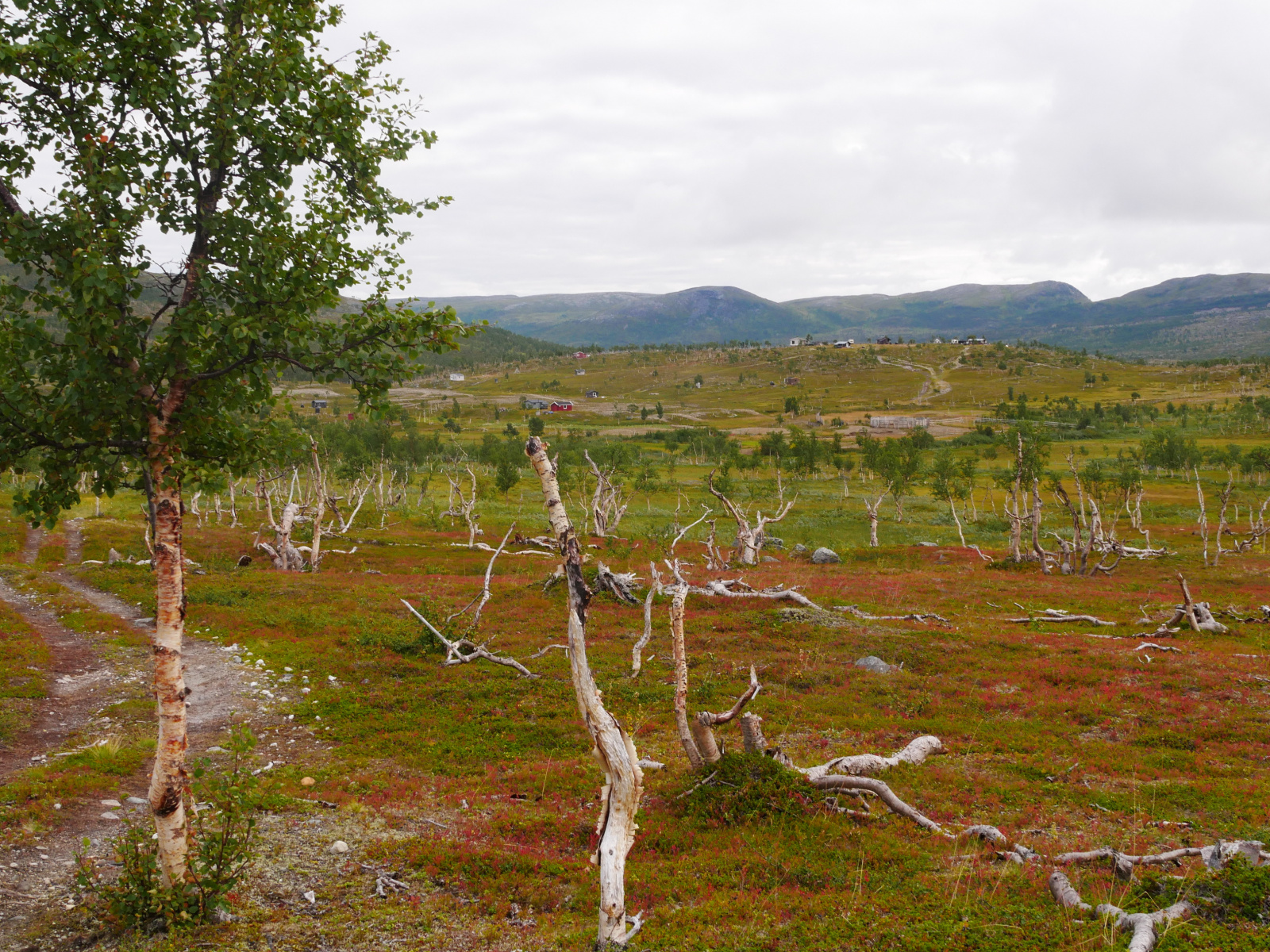 Klicke auf die Grafik für eine vergrößerte Ansicht

Name: P1150408.jpg
Ansichten: 67
Größe: 1,18 MB
ID: 3364648