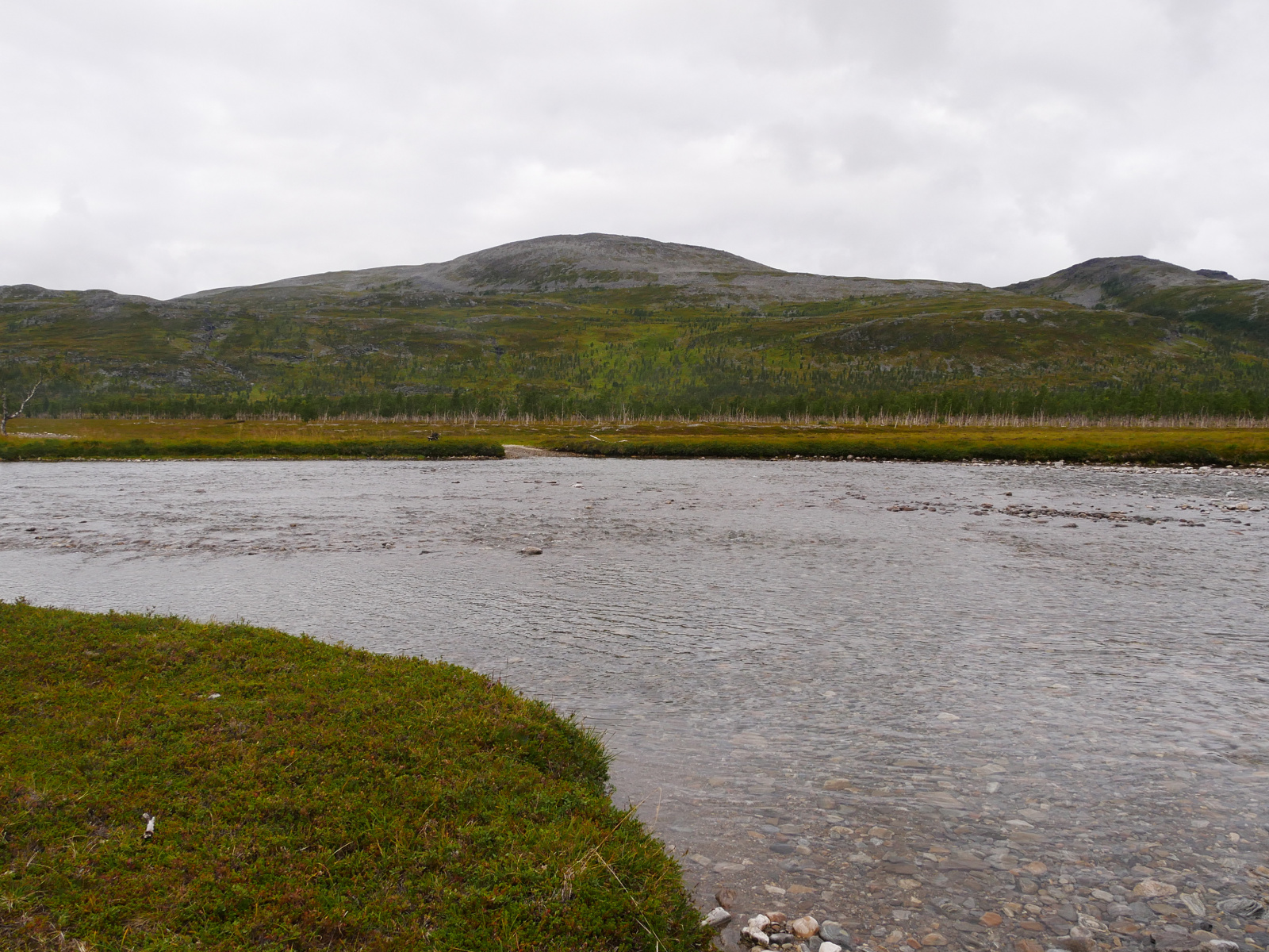 Klicke auf die Grafik für eine vergrößerte Ansicht

Name: P1150411.jpg
Ansichten: 66
Größe: 907,0 KB
ID: 3364650