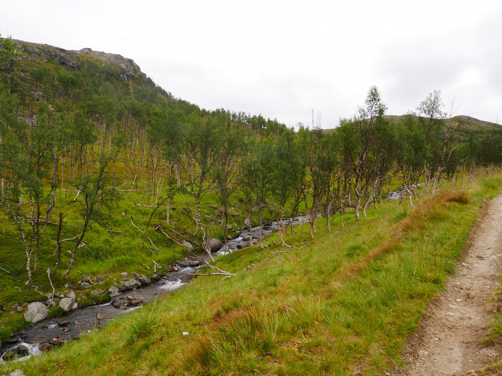 Klicke auf die Grafik für eine vergrößerte Ansicht

Name: P1150414.jpg
Ansichten: 66
Größe: 1,11 MB
ID: 3364651