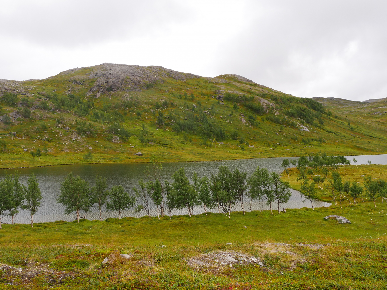 Klicke auf die Grafik für eine vergrößerte Ansicht

Name: P1150418.jpg
Ansichten: 67
Größe: 1,03 MB
ID: 3364652