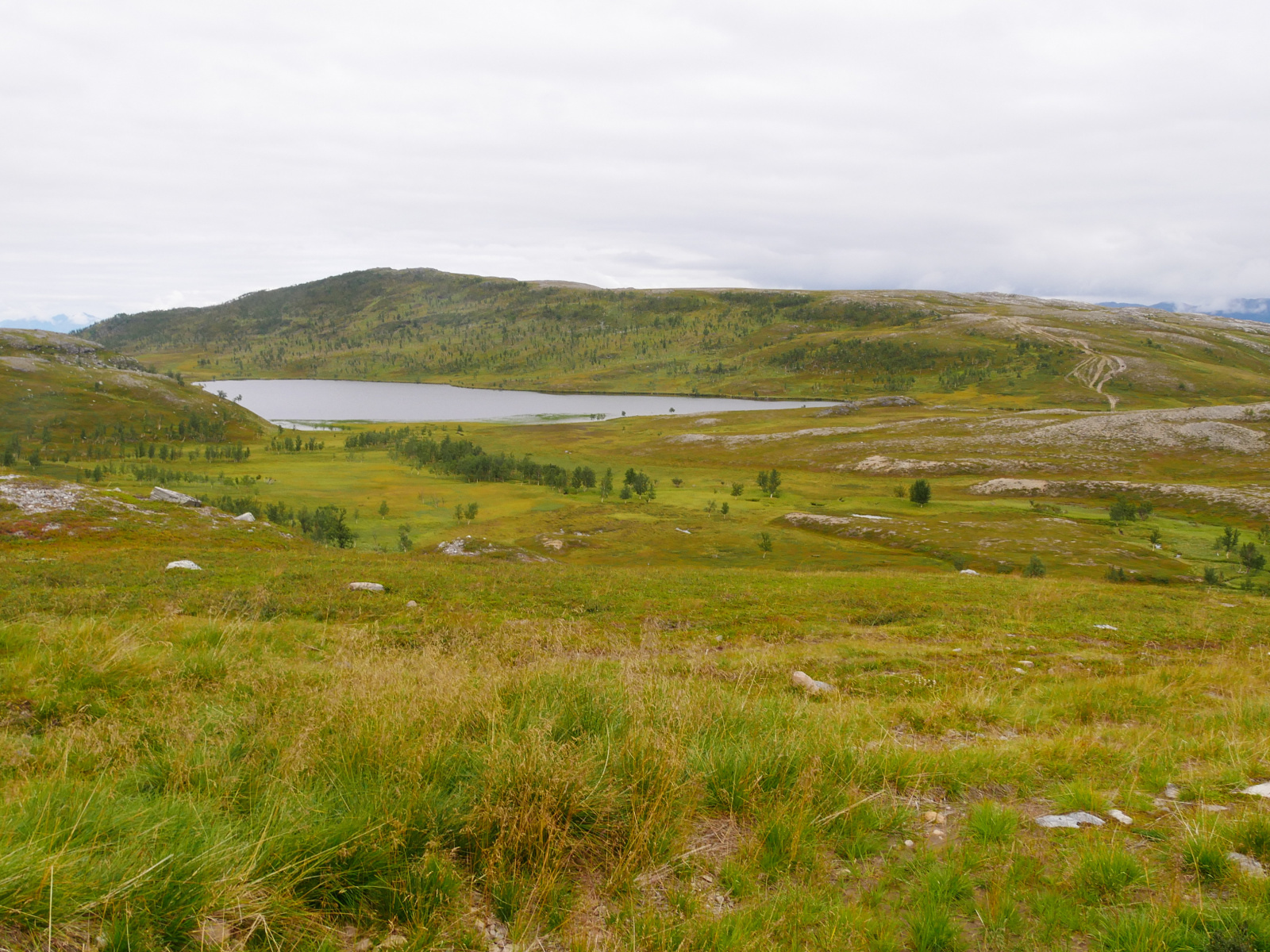 Klicke auf die Grafik für eine vergrößerte Ansicht

Name: P1150423.jpg
Ansichten: 66
Größe: 941,2 KB
ID: 3364654