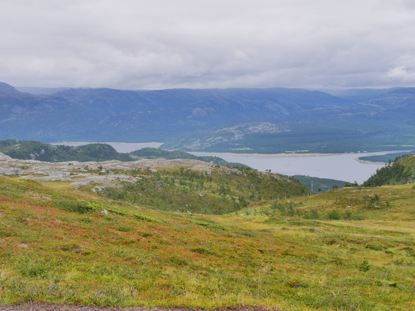 Klicke auf die Grafik für eine vergrößerte Ansicht

Name: P1150426.jpg
Ansichten: 66
Größe: 922,0 KB
ID: 3364656