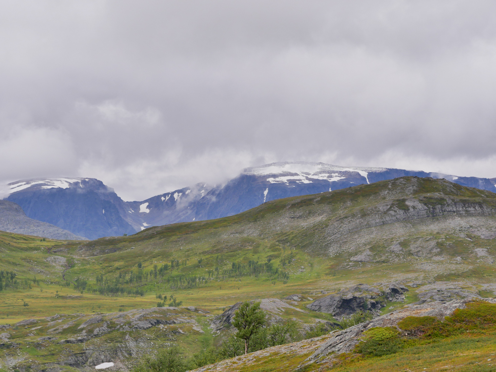 Klicke auf die Grafik für eine vergrößerte Ansicht

Name: P1150430.jpg
Ansichten: 66
Größe: 713,5 KB
ID: 3364659