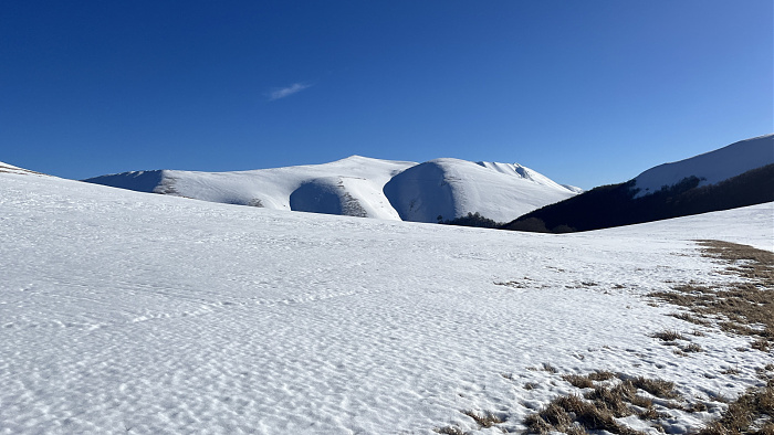 Klicke auf die Grafik für eine vergrößerte Ansicht  Name: IMG_8303.jpg Ansichten: 0 Größe: 528,9 KB ID: 3364699