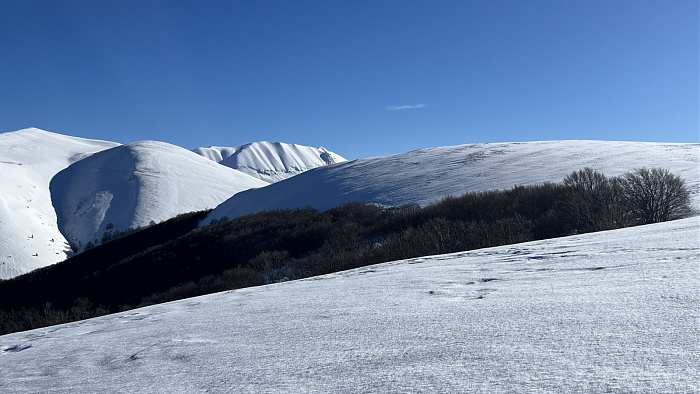 Klicke auf die Grafik für eine vergrößerte Ansicht  Name: IMG_8310.jpg Ansichten: 0 Größe: 544,5 KB ID: 3364702