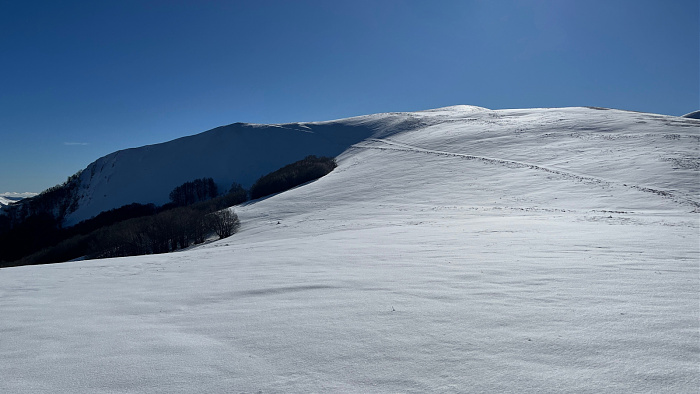 Klicke auf die Grafik für eine vergrößerte Ansicht  Name: IMG_8324.jpg Ansichten: 0 Größe: 440,3 KB ID: 3364706