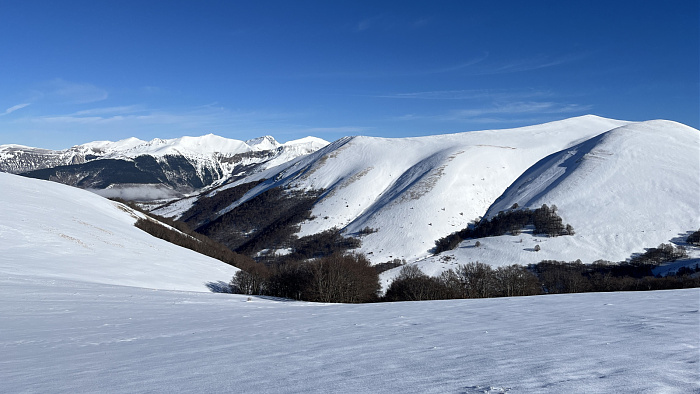 Klicke auf die Grafik für eine vergrößerte Ansicht  Name: IMG_8326.jpg Ansichten: 0 Größe: 480,0 KB ID: 3364711