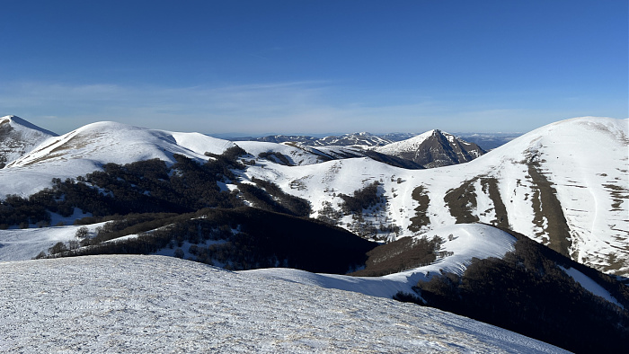 Klicke auf die Grafik für eine vergrößerte Ansicht  Name: IMG_8381.jpg Ansichten: 0 Größe: 581,8 KB ID: 3364714