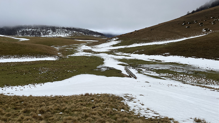 Klicke auf die Grafik für eine vergrößerte Ansicht  Name: IMG_8458.jpg Ansichten: 0 Größe: 656,1 KB ID: 3364749