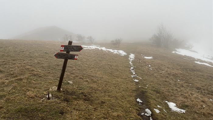 Klicke auf die Grafik für eine vergrößerte Ansicht  Name: IMG_8482.jpg Ansichten: 0 Größe: 635,5 KB ID: 3364755