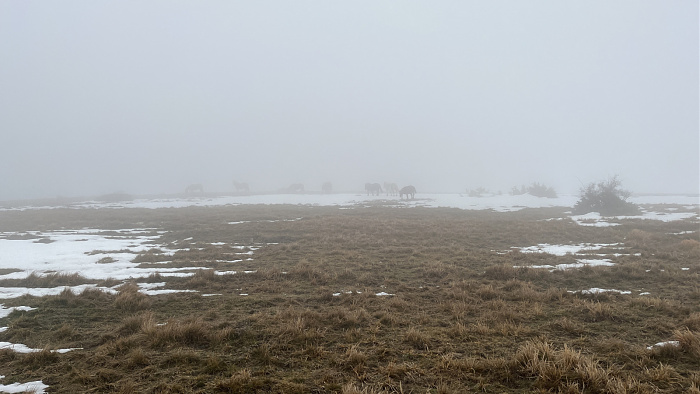 Klicke auf die Grafik für eine vergrößerte Ansicht  Name: IMG_8481.jpg Ansichten: 0 Größe: 436,5 KB ID: 3364756