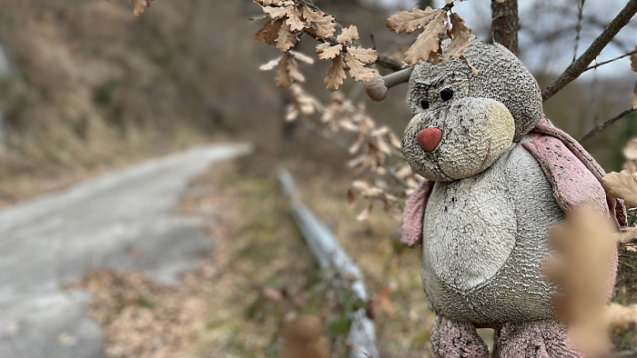 Klicke auf die Grafik für eine vergrößerte Ansicht  Name: IMG_8597.jpg Ansichten: 0 Größe: 486,9 KB ID: 3364799