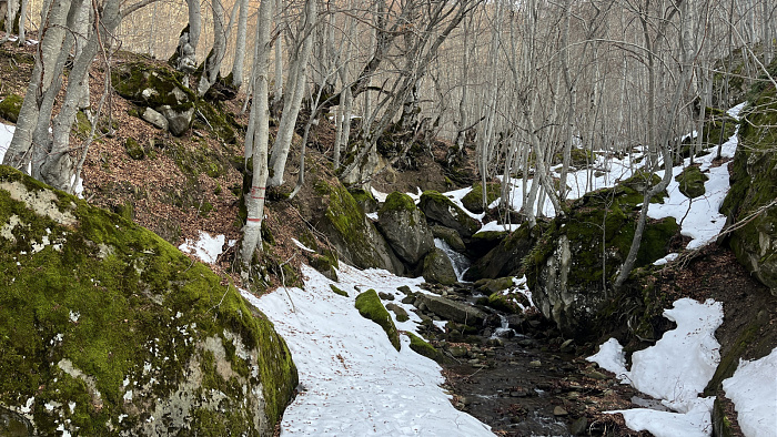 Klicke auf die Grafik für eine vergrößerte Ansicht

Name: IMG_8693.jpg
Ansichten: 0
Größe: 1,06 MB
ID: 3364985