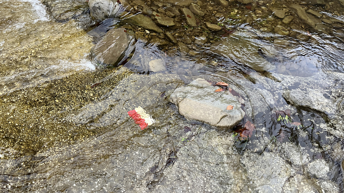 Klicke auf die Grafik für eine vergrößerte Ansicht  Name: IMG_9036.jpg Ansichten: 0 Größe: 1,01 MB ID: 3365376