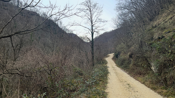 Klicke auf die Grafik für eine vergrößerte Ansicht  Name: IMG_9026.jpg Ansichten: 0 Größe: 982,3 KB ID: 3365373