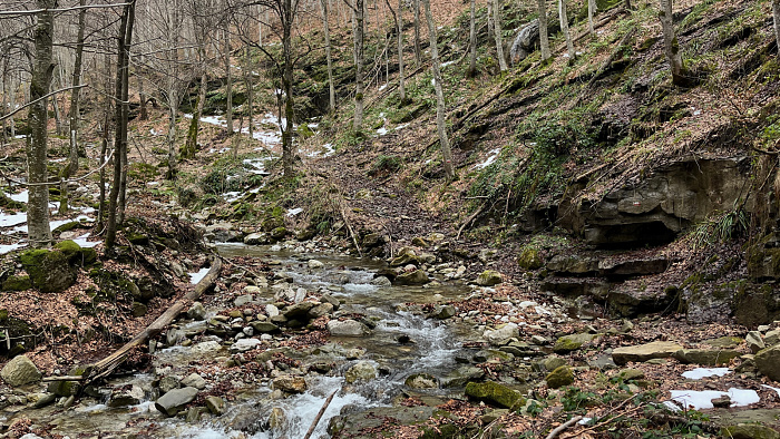 Klicke auf die Grafik für eine vergrößerte Ansicht  Name: IMG_9042.jpg Ansichten: 0 Größe: 1,21 MB ID: 3365374