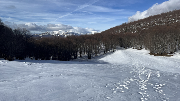 Klicke auf die Grafik für eine vergrößerte Ansicht  Name: IMG_9099.jpg Ansichten: 0 Größe: 582,0 KB ID: 3365391