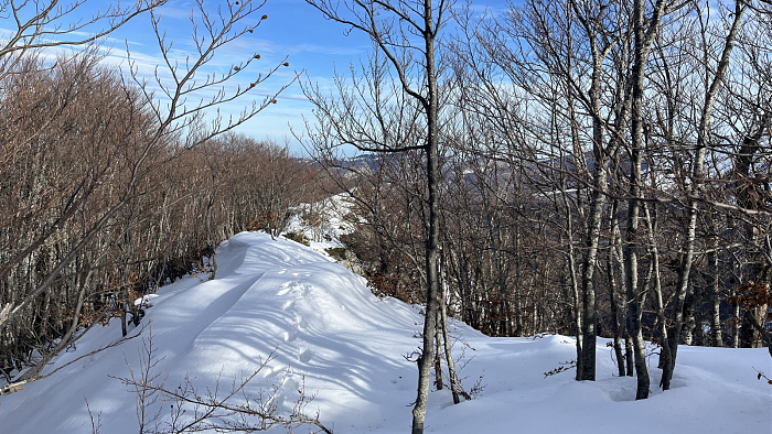 Klicke auf die Grafik für eine vergrößerte Ansicht  Name: IMG_9104.jpg Ansichten: 0 Größe: 1,03 MB ID: 3365392