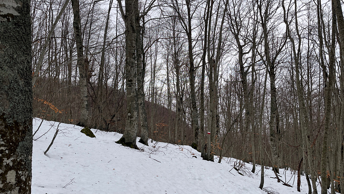 Klicke auf die Grafik für eine vergrößerte Ansicht  Name: IMG_9156.jpg Ansichten: 0 Größe: 1,01 MB ID: 3365477