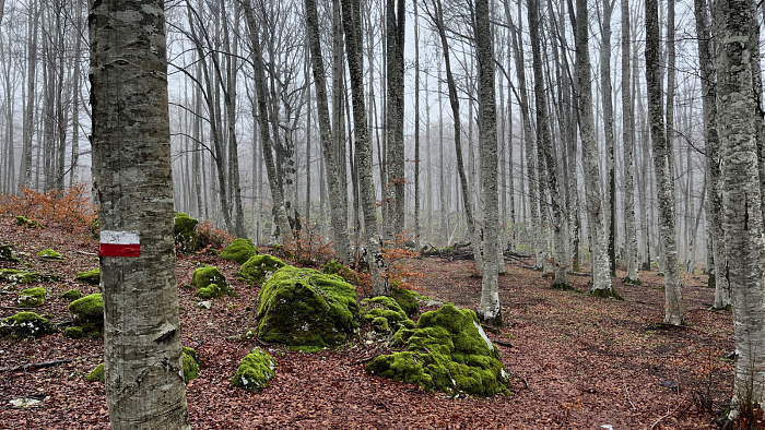 Klicke auf die Grafik für eine vergrößerte Ansicht  Name: IMG_9167.jpg Ansichten: 0 Größe: 1,11 MB ID: 3365481