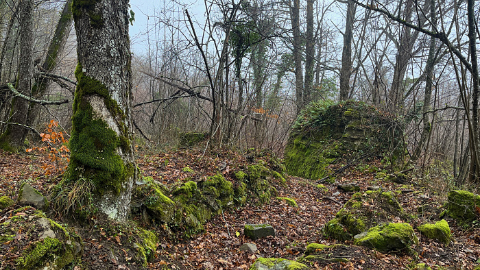 Klicke auf die Grafik für eine vergrößerte Ansicht  Name: IMG_9178.jpg Ansichten: 0 Größe: 1,24 MB ID: 3365483