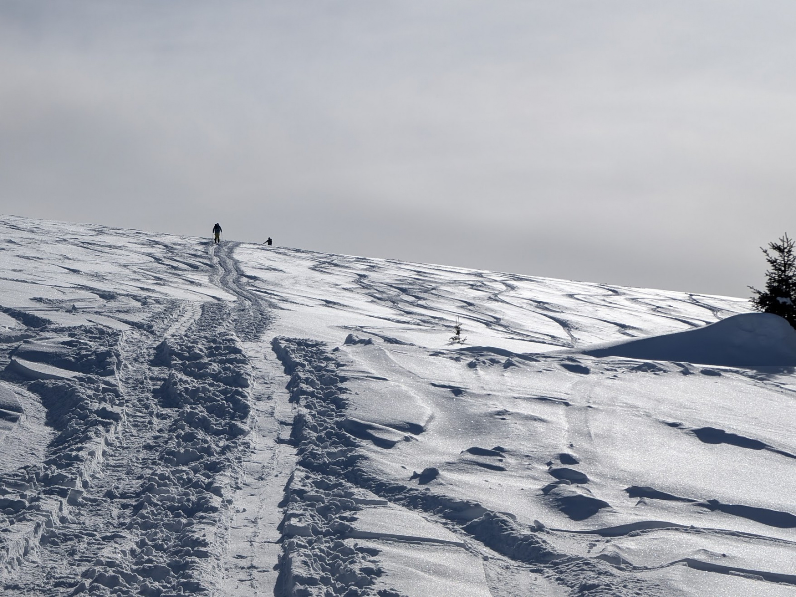 Klicke auf die Grafik für eine vergrößerte Ansicht  Name: PXL_20260131_122040789.jpg Ansichten: 0 Größe: 708,9 KB ID: 3365575