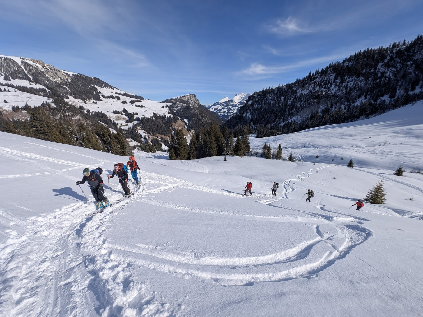 Klicke auf die Grafik für eine vergrößerte Ansicht  Name: PXL_20260131_113608492.jpg Ansichten: 0 Größe: 771,0 KB ID: 3365573